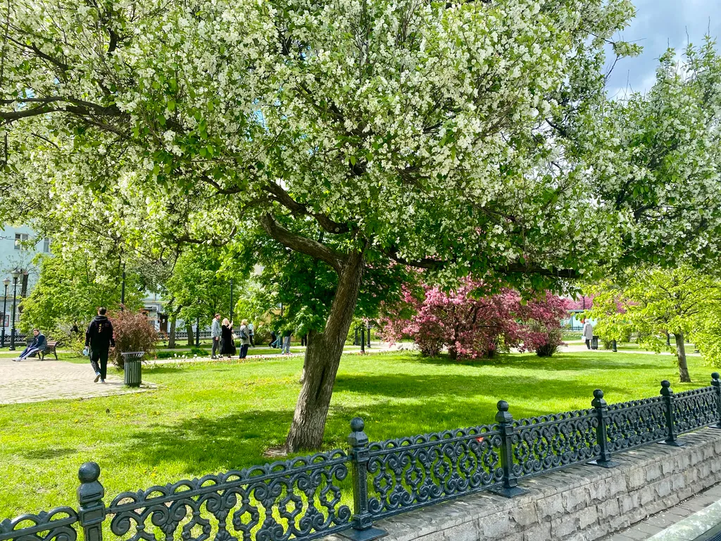 Квартира Квартира в центре столицы — Москва