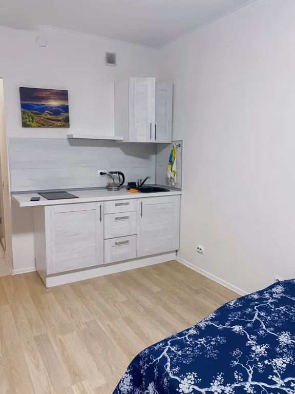 Уютная квартира-студия в центре города