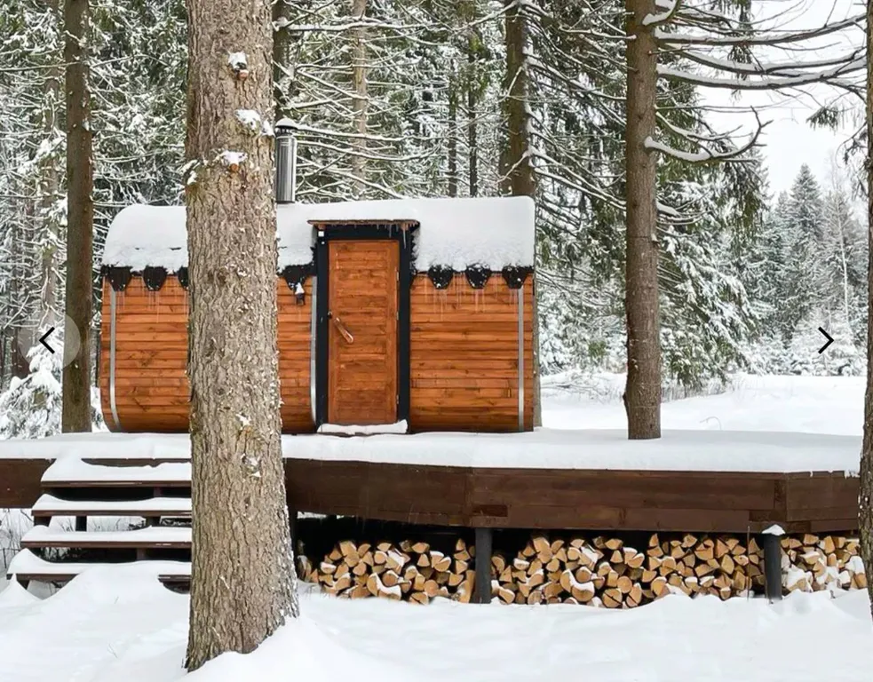 Домик с баней в лесу