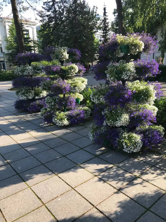 Апартаменты четыре сезона