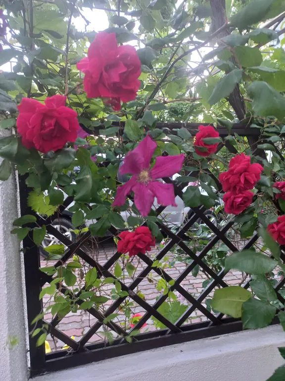 Бюджетный отдых в уютном коттедже