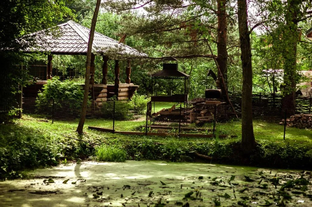 Коттедж Коттедж Настоящая русская изба Николаича — Рузино