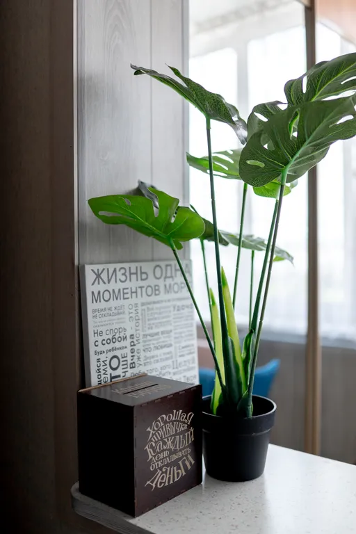 Уютная квартира в Возрождении