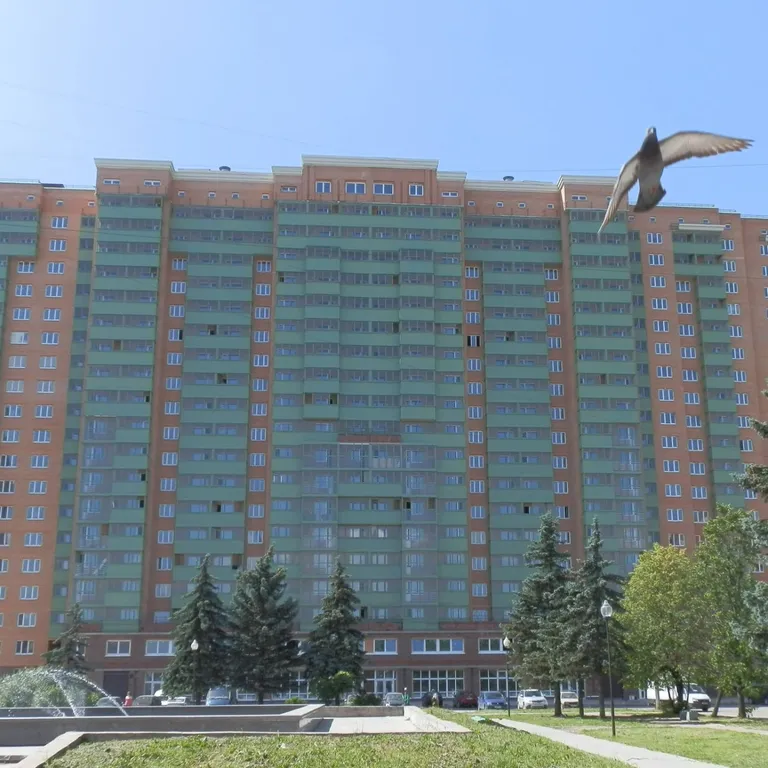 Квартира Видовая квартира-студия с невероятными рассветами — Шушары