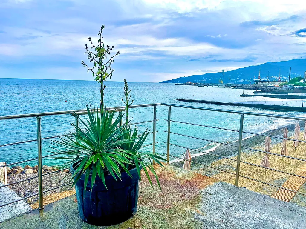 Апартаменты с видом на море