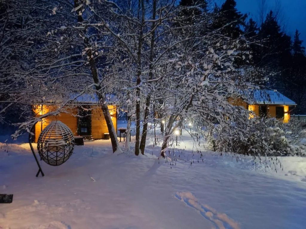 Коттедж Коттедж Shuya Tiny House 2 — Петрозаводск