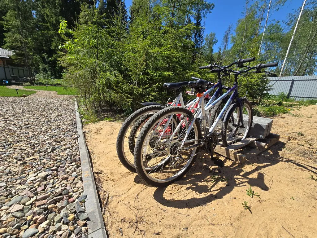 Коттедж Дом с двумя спальнями и сауной в еловом лесу — Шадрино