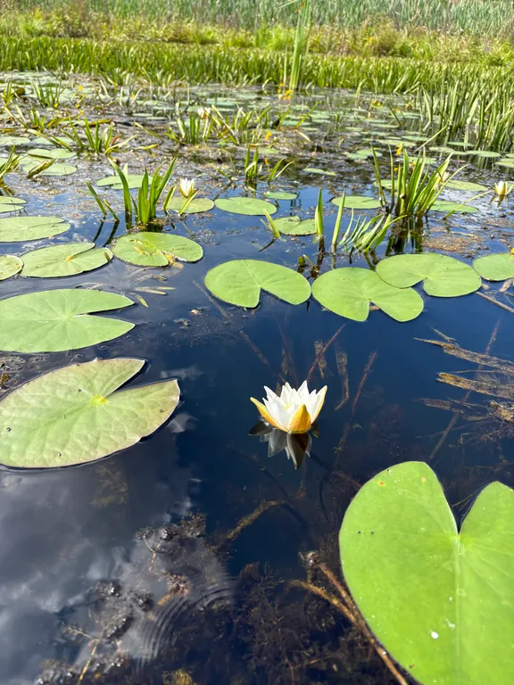Дом у озера с банным чаном и русской баней