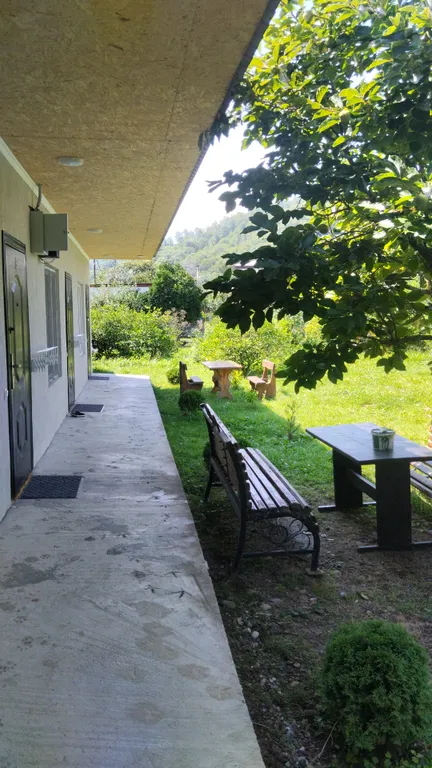 Как на даче у Чёрного моря