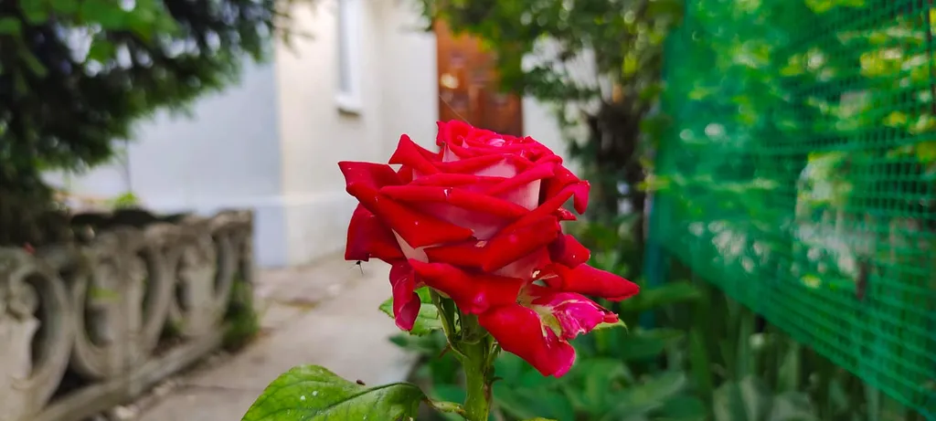 Домик в курортной зоне Феодосии