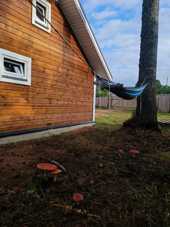 Гостевой дом Кемчуг