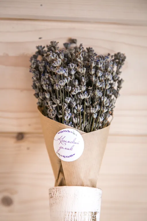 Квартира 1-комнатная Квартира — Архыз