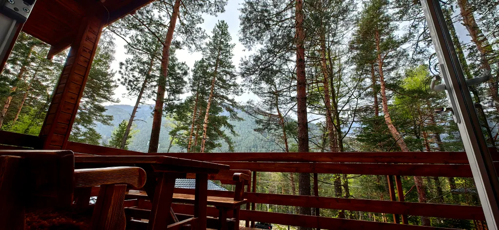 Коттедж Коттедж Шале в лесу (до 4-х человек) — Архыз