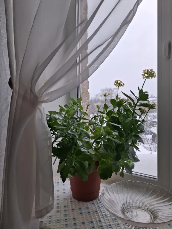 Просто, чисто, душевно)