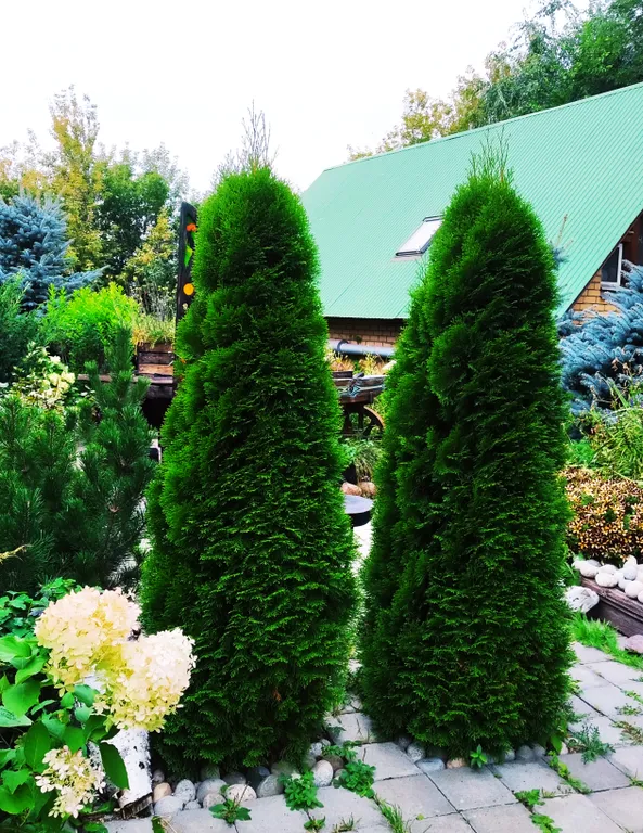 Коттедж Удивительный дом, уголок природы в центре — Казань