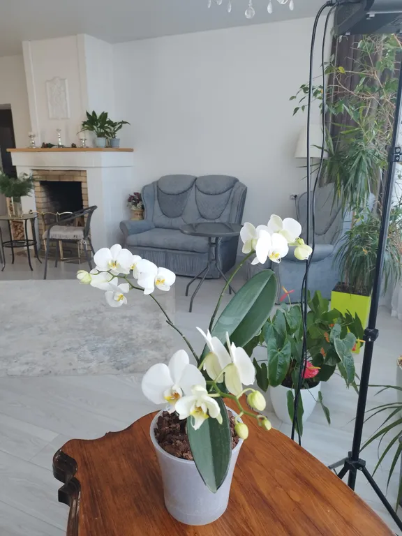 Коттедж Атмосферный дом с живым камином и баней на дровах — Ленина