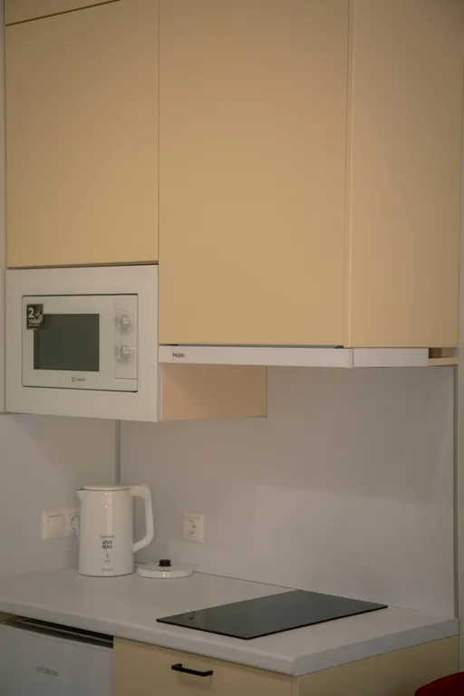 Студия с видом на горы