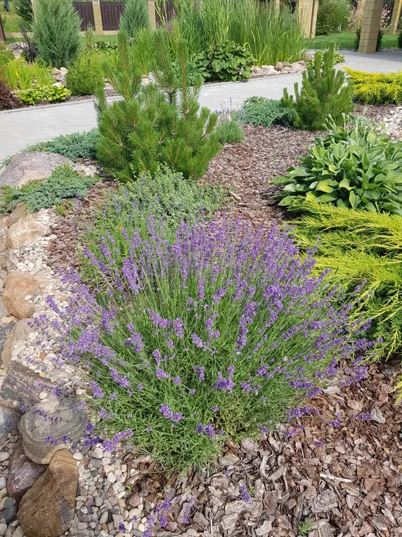 Агроусадьба на Браславских озерах