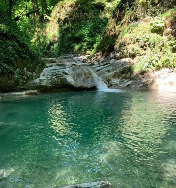 Квартира Квартира Уютный номер в Лесном Тереме — Беранда
