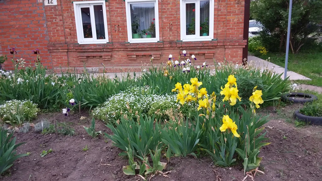 Домик у моря