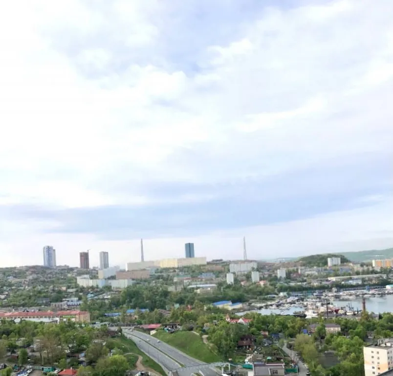 Квартира Уютная квартира с красивым видом — Владивосток