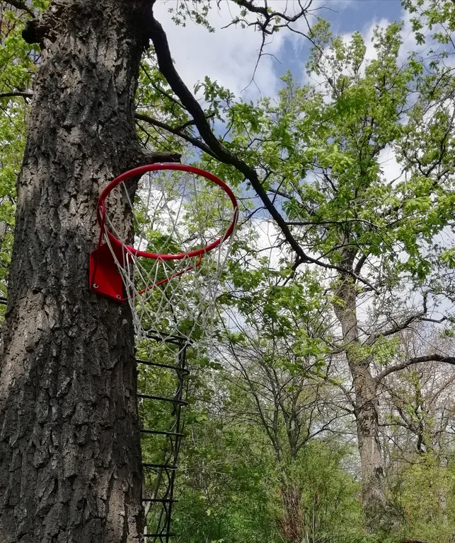 Дом в дубовой роще у реки