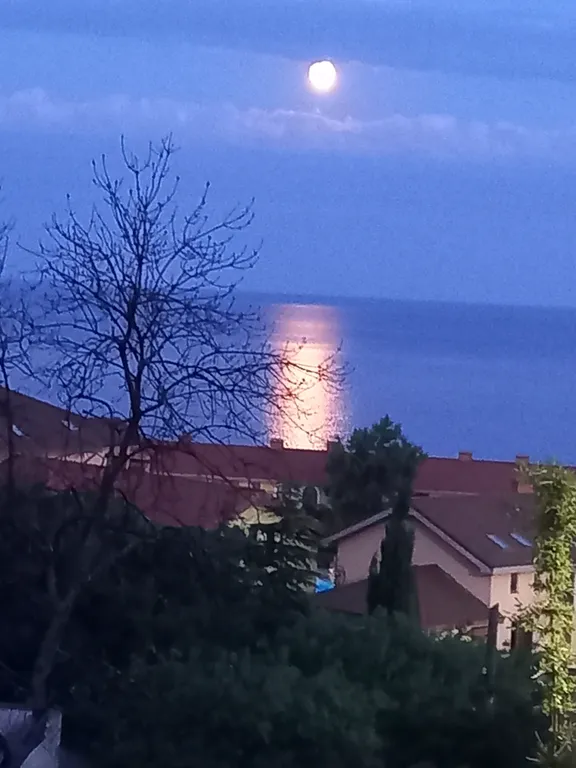 Супер квартира у моря — аренда посуточно в Алупка