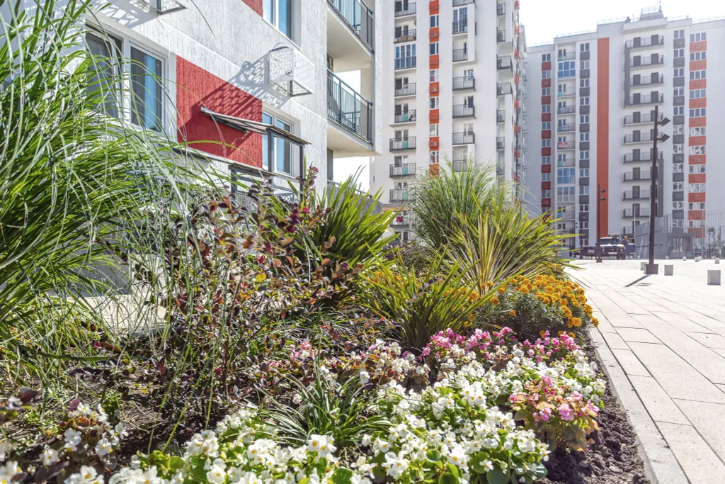 Квартира Квартира Апартамент студия делюкс — Сириус