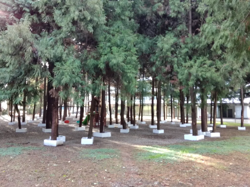 Квартира Роскошные апартаменты с прямым видом на море в Бамбо Бич Цихисдзири — Цихисдзири