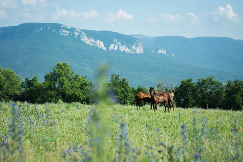 Коттедж Коттедж Сафари-тент в самом сердце Крымских гор — Аромат