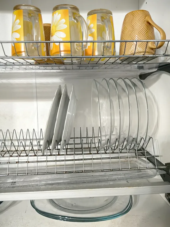 Евродвушка Дельфины Попугаи