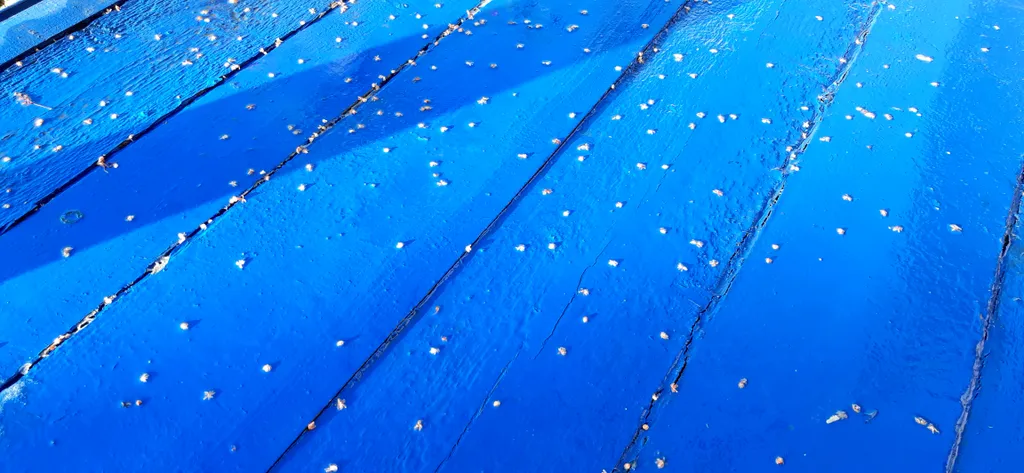 Джилысу transit дача в сосновом бору