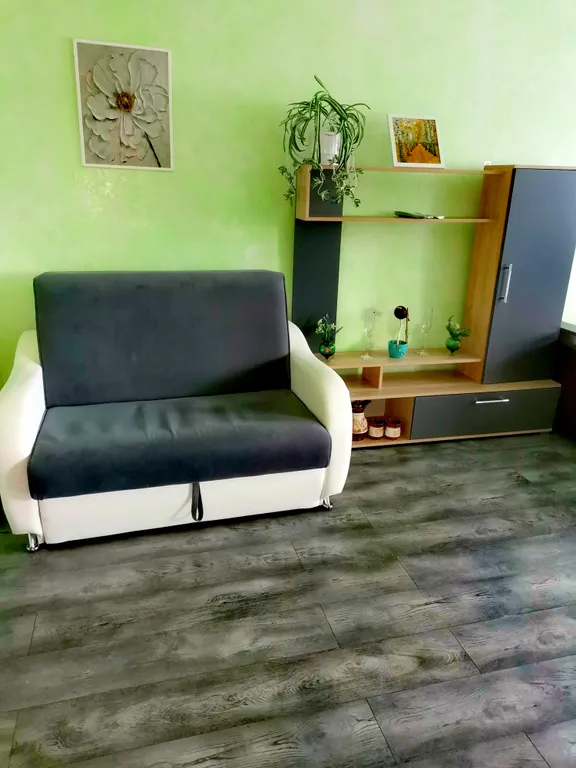 Уютная квартира на центральной улице