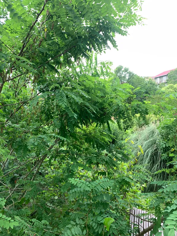 Квартира Квартира Уютная и просторная студия — Сочи