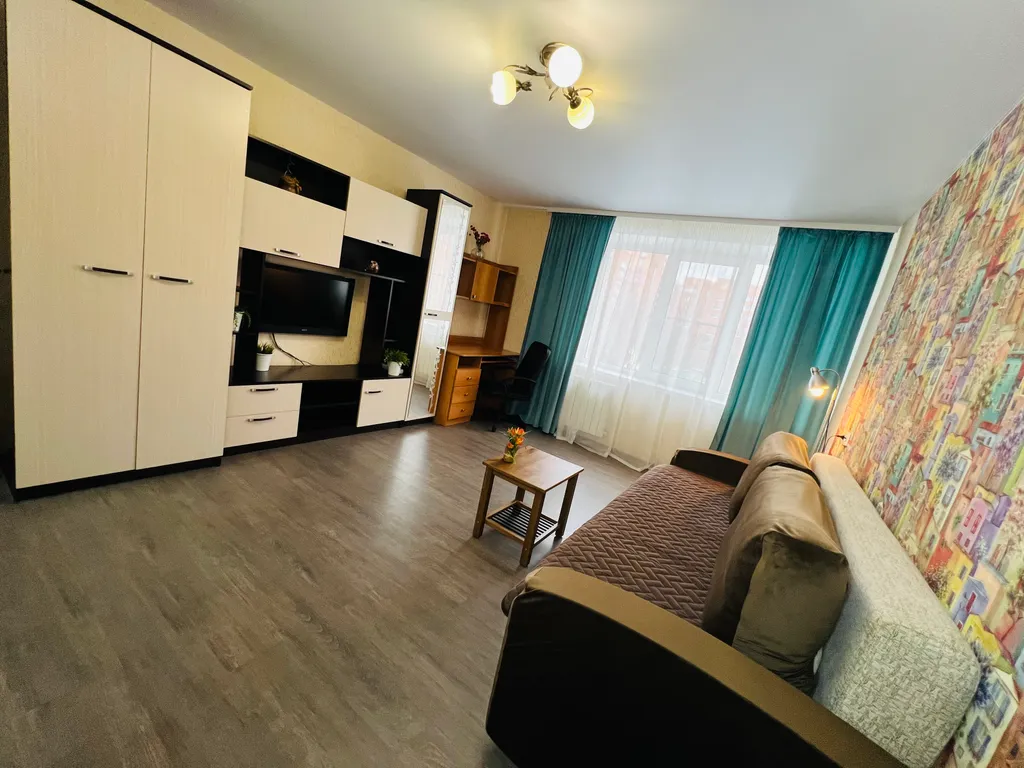 1-комнатная квартира в деловом и историческом центре города с новогодней елкой