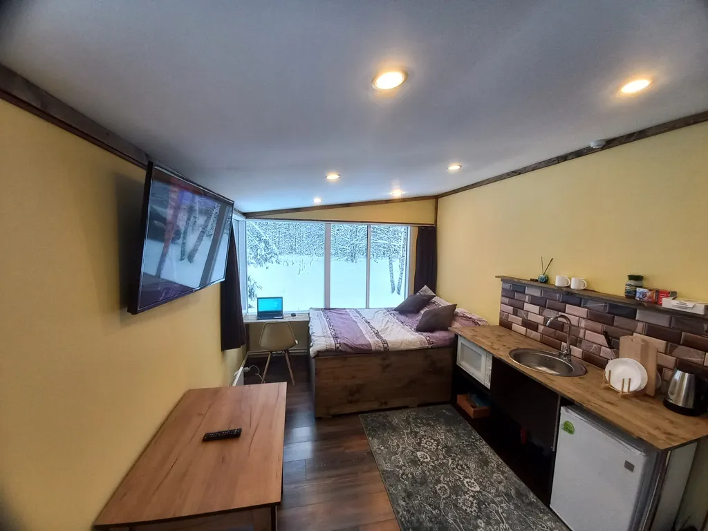 Уютный дом-студия