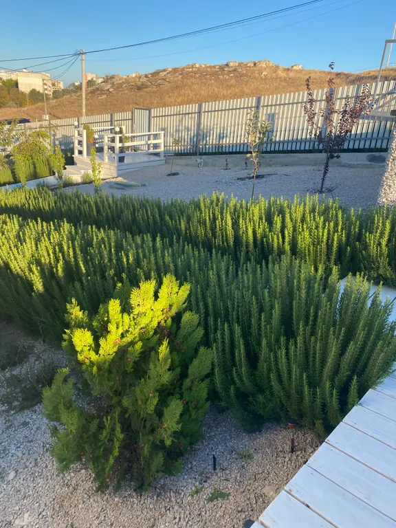 Вилла на море Villakonda