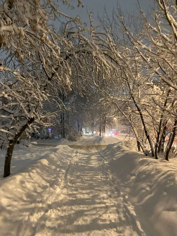 Квартира Комната в квартире — Калининград