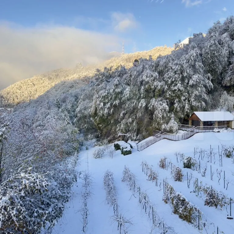 Квартира Uslada дизайн студия — аренда посуточно в Красная Поляна