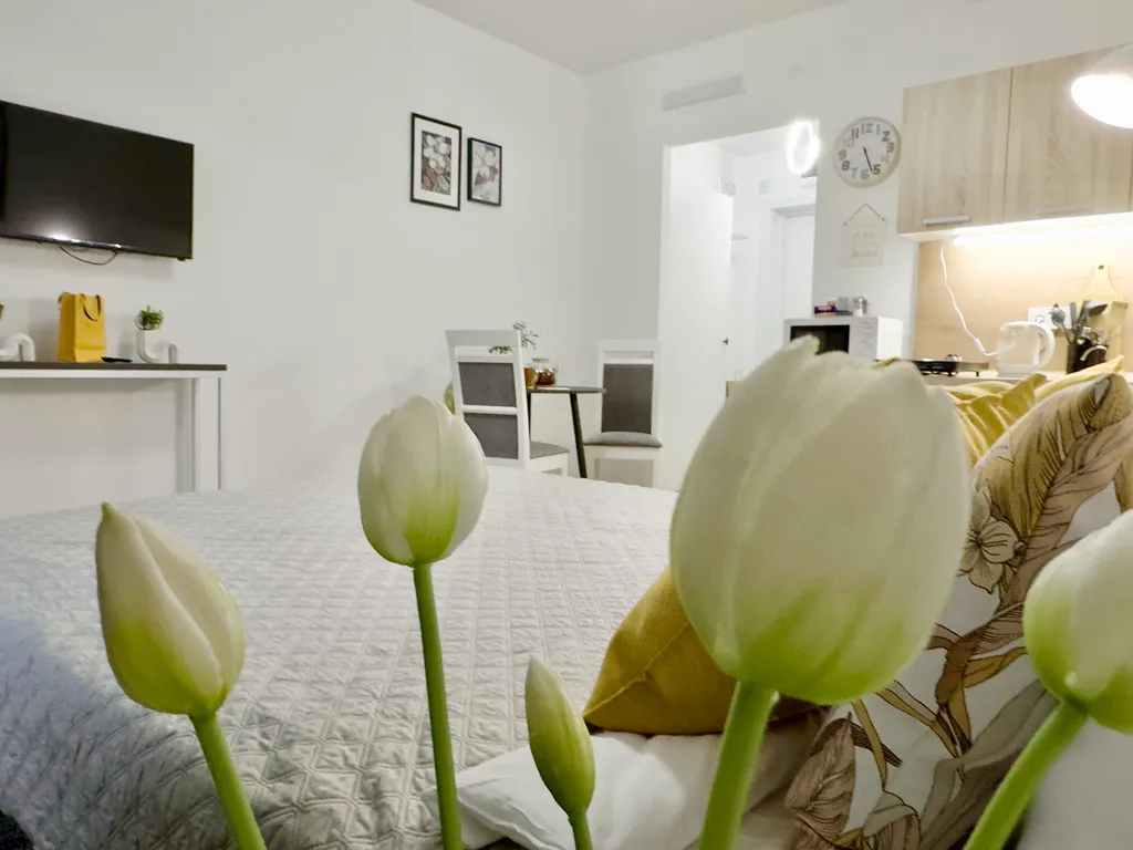 Интеллигентная студия