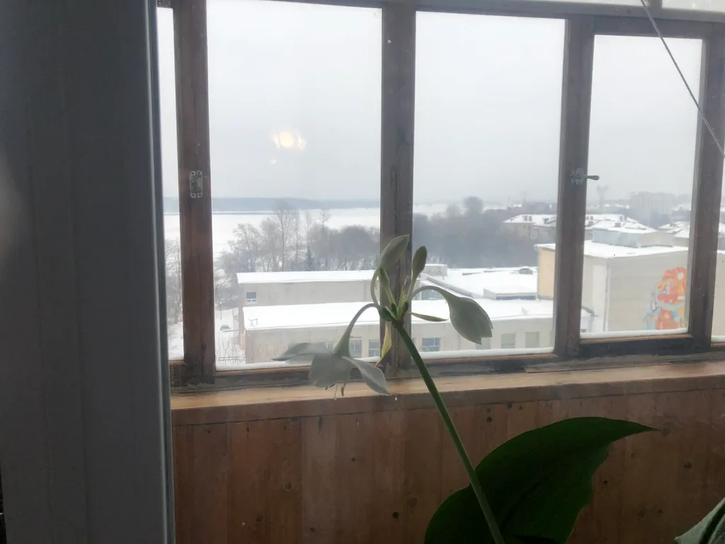 Уютная 1-комнатная квартира с видом на волгу