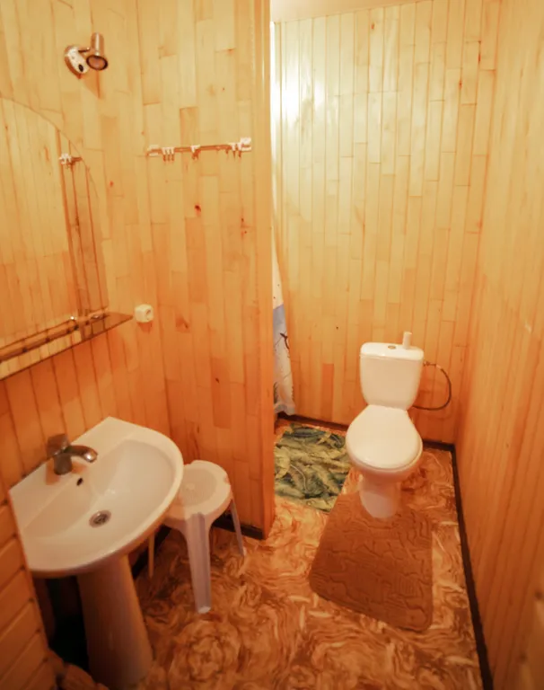 Коттедж 2-комнатный Дом — Витино