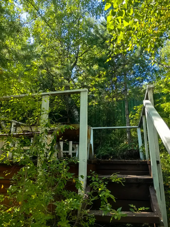 Уютный дом Lucky House для семьи