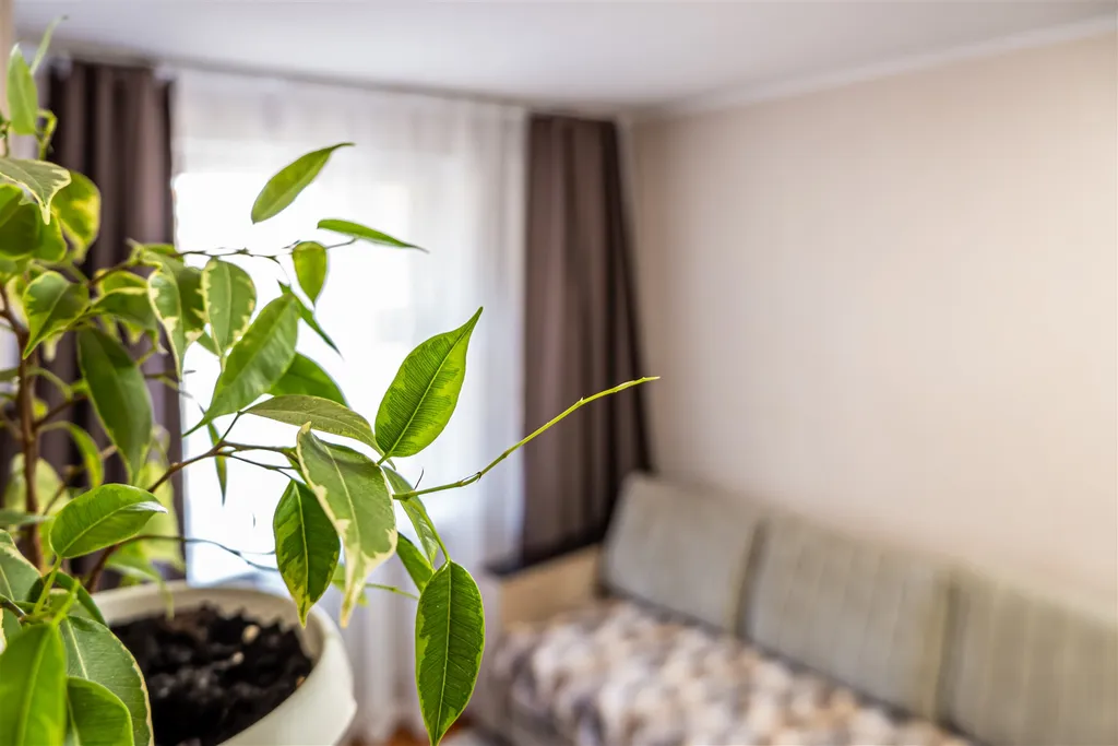 Двухкомнатная квартира у цирка