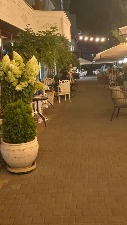 Уютная квартира в двух минутах от центрального парка