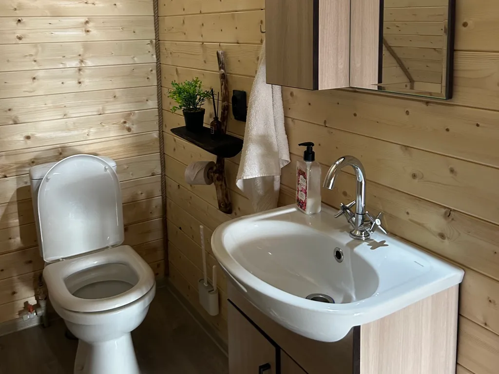 Дом с баней и бассейном