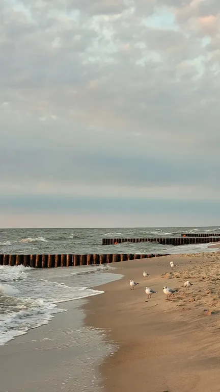 Уютная квартира в Зеленоградске