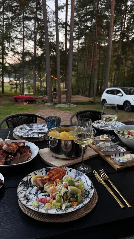 Стильный дом на берегу Ладожского озера с панорамным видом