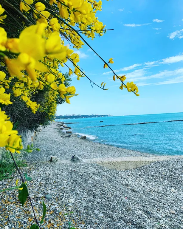 Студия 317 с шикарным видом на море в ЖК Каравелла Португалии
