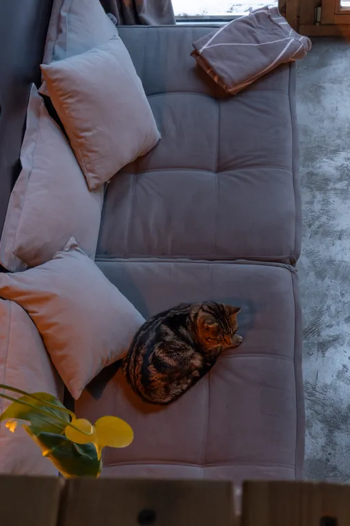 Коттедж Дом в лесу с горячей купелью — Горки (Лопухинское с/п)